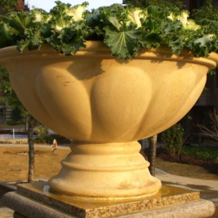 ���F���H����